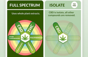 Comprendre la différence entre le CBD à spectre complet, à spectre large et l'isolat : comment faire le bon choix ?