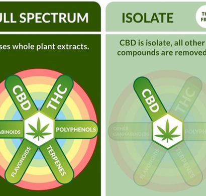 Understanding the Difference Between Full Spectrum, Broad Spectrum, and Isolate CBD: How to Make the Right Choice?