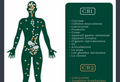 CBD effets