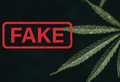 CBD mythes et réalités