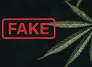 CBD mythes et réalités