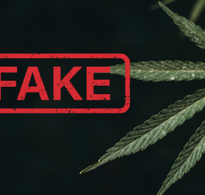 Myths and Realities about CBD: Let’s sort out the Truth from the Falsehood!