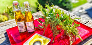 Huile culinaire CBD avec herbes